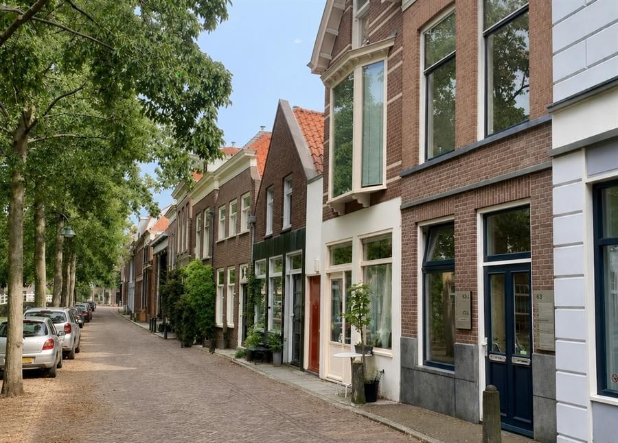 De Molslaan in Delft, waar de praktijk gevestigd is